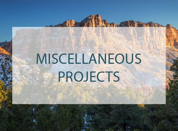 Miscellaneous Projects